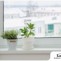 How New Windows Can Help Your Home Go Green