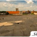 Signs That Your Commercial Roof’s Health is Compromised