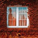 Why Is Fall a Great Time to Replace Your Windows?