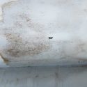 What Happens When You Put Off Roof Replacement?