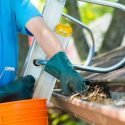 Simple Roofing Tasks You Can Do as a Homeowner